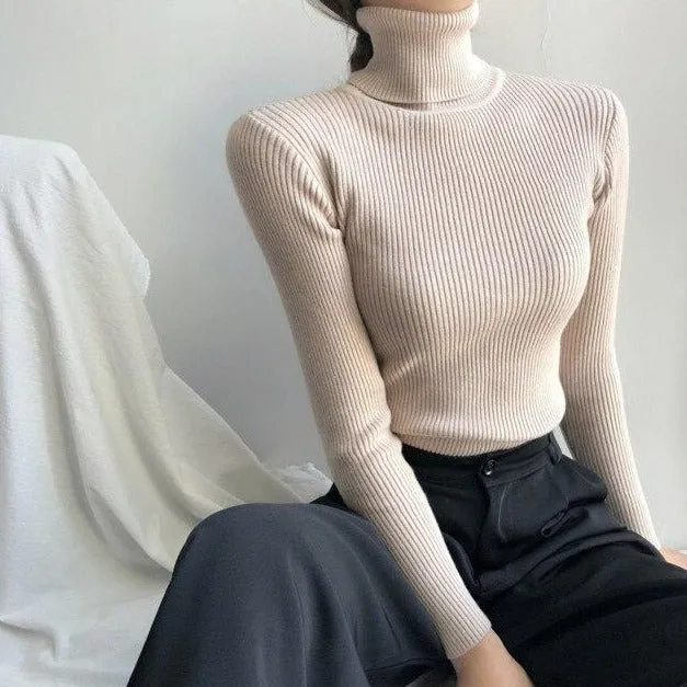 Basic Sweatshirt With Turtleneck