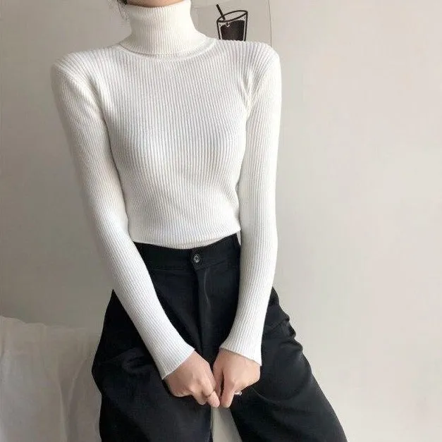 Basic Sweatshirt With Turtleneck