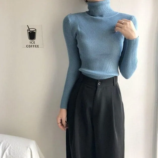 Basic Sweatshirt With Turtleneck