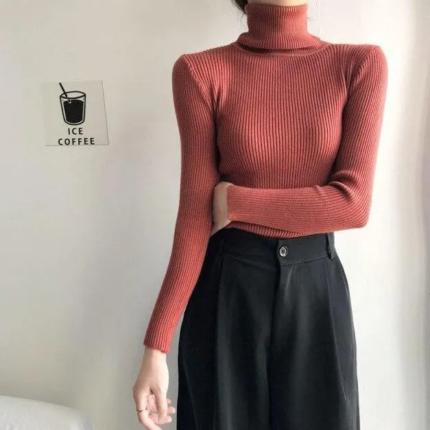 Basic Sweatshirt With Turtleneck