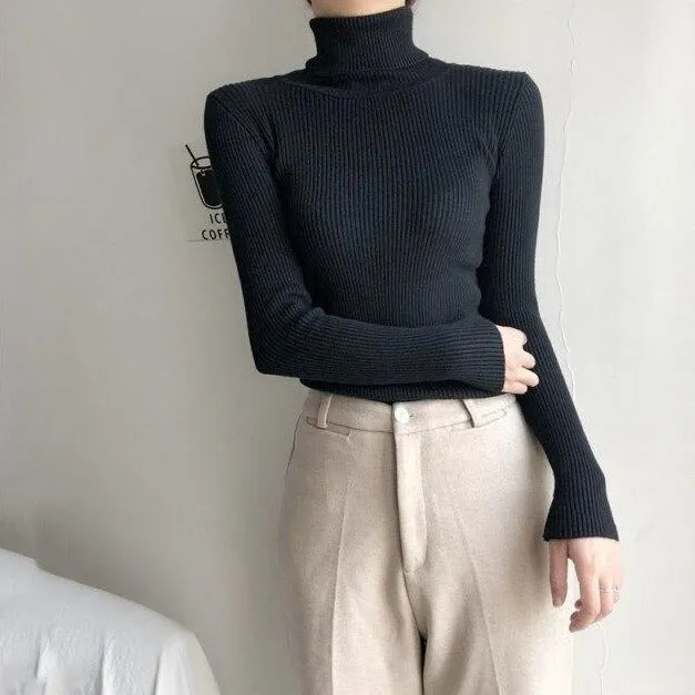 Basic Sweatshirt With Turtleneck