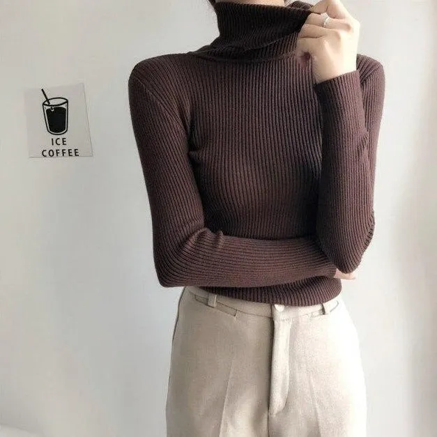 Basic Sweatshirt With Turtleneck