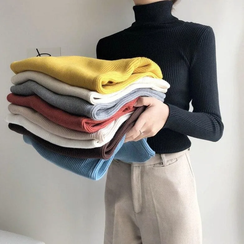 Basic Sweatshirt With Turtleneck