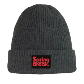 Capita Spring Break Beanie