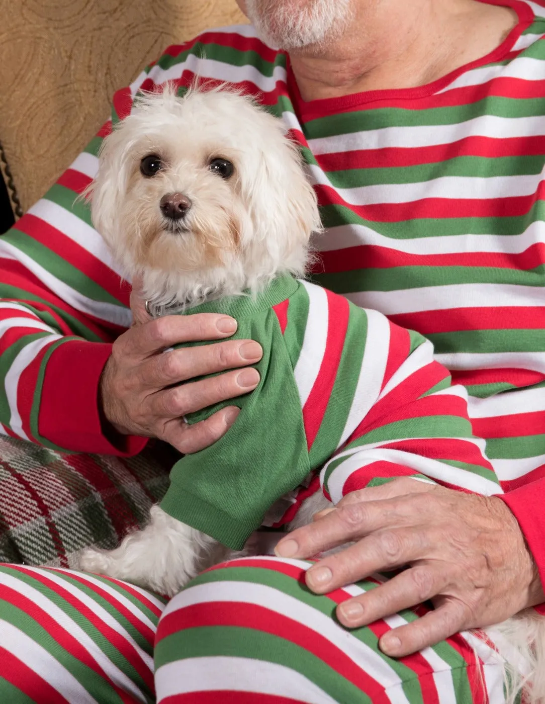 Dog Stripes Pajamas