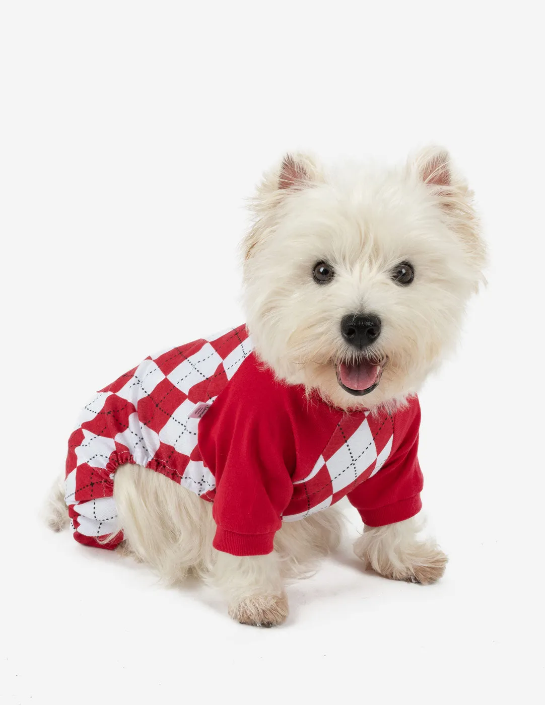 Dog's Argyle Print Pajamas