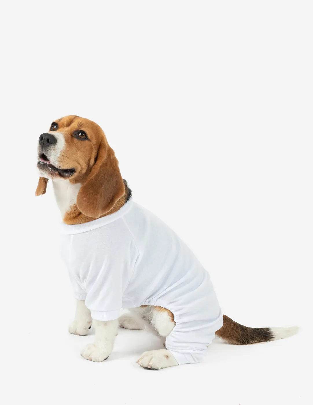 Dogs Solid Color White Pajamas