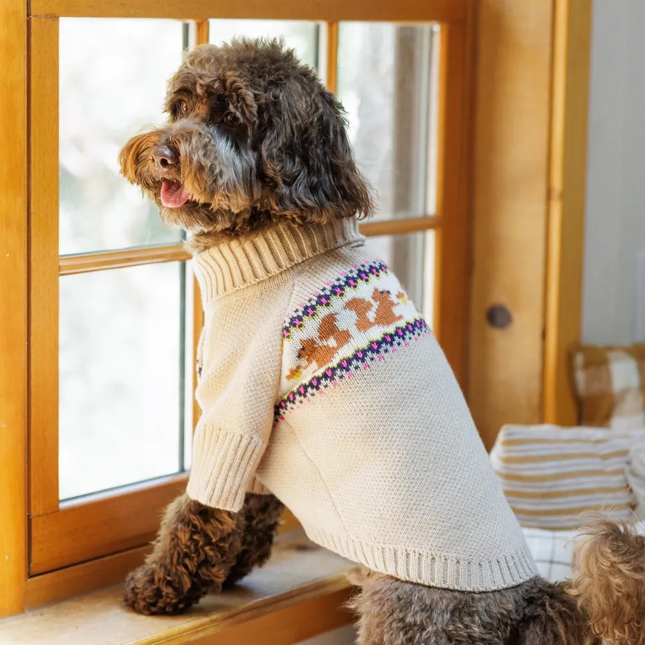 Foggy Dog Squirrel Cable Knit Dog Sweater