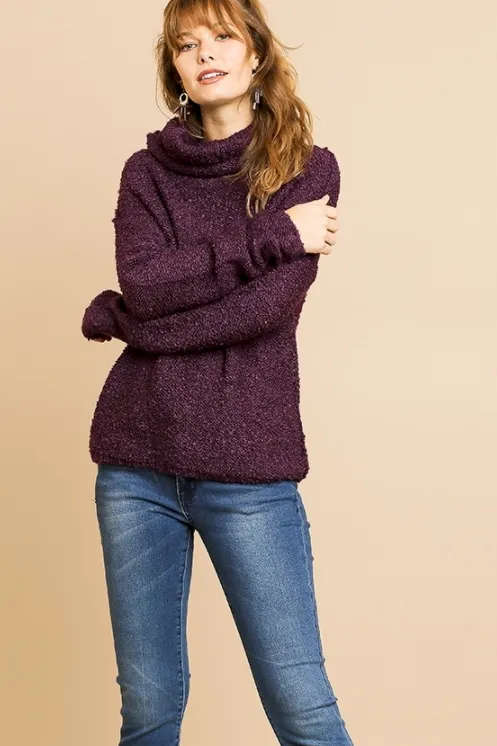 Fuzzy Grape Knit Turtleneck Sweater