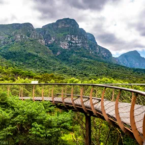 Kirstenbosch Botanical Gardens Day Tour