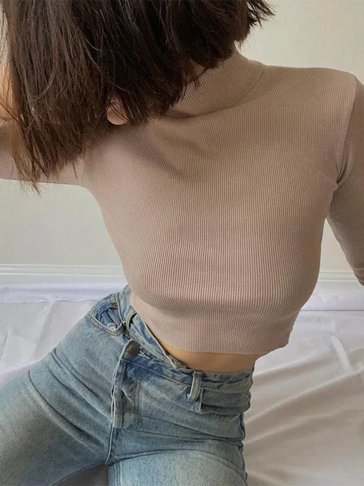 Nude Turtleneck Cropped Long Sleeve Tee