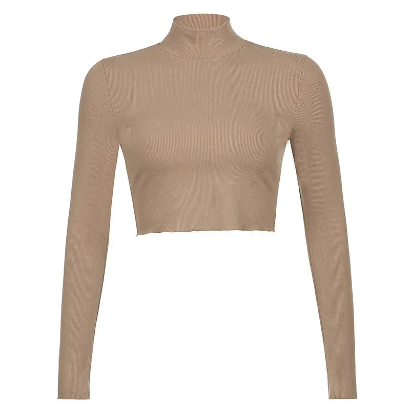 Nude Turtleneck Cropped Long Sleeve Tee