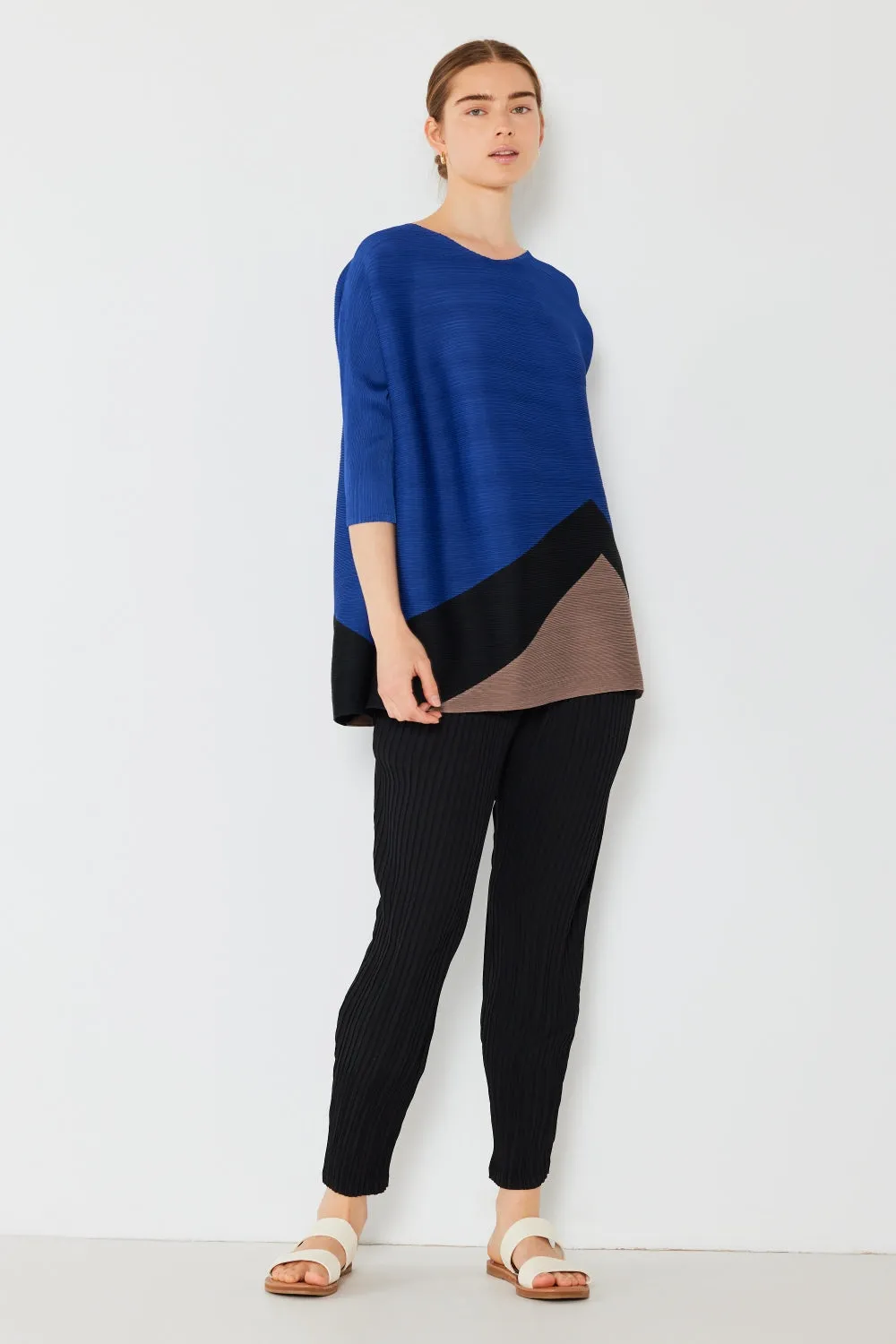 Pleated Horizontal Rib Color Block Top