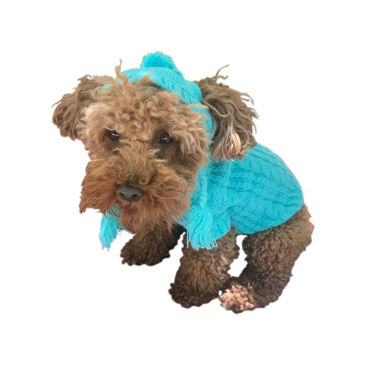 Scottish Cable Knit Dog Hat Light Turquoise