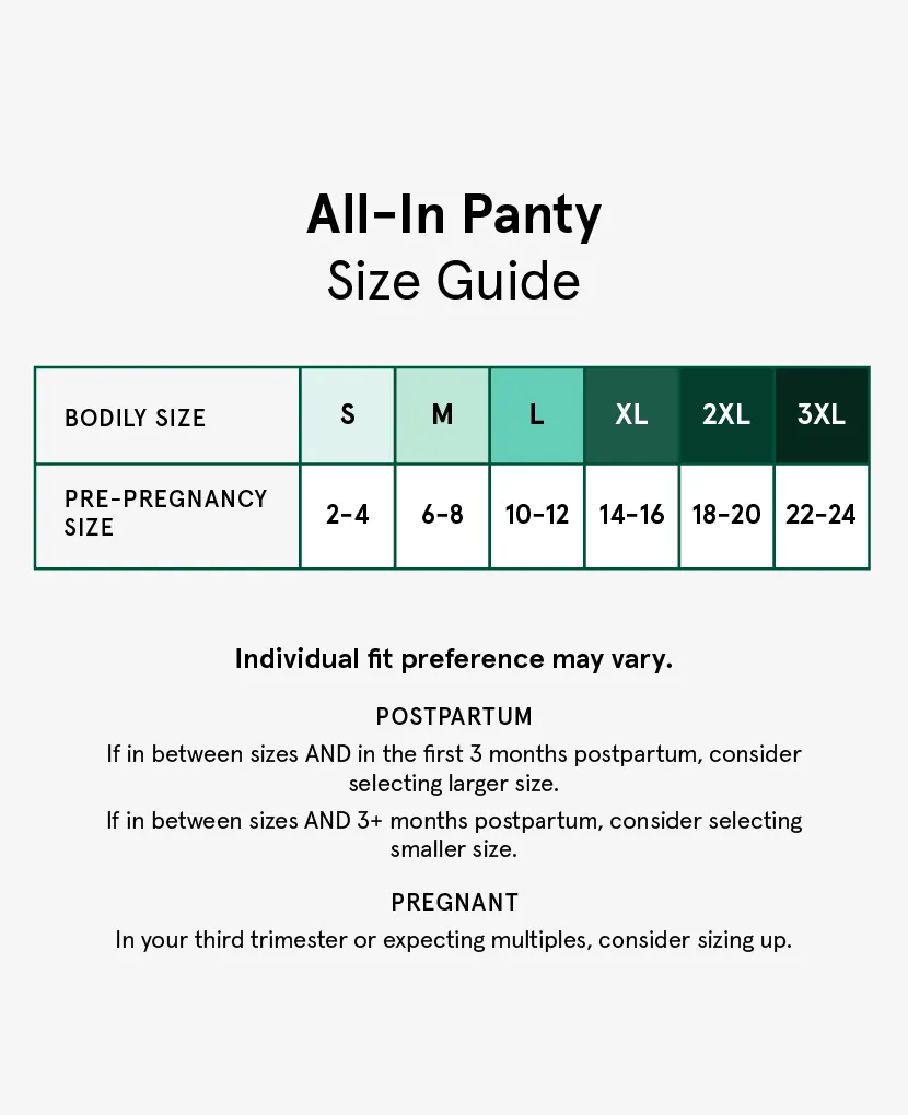 The All-In Panty: Plus Single