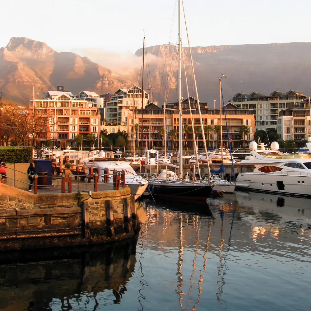 V&A Waterfront Day Tour