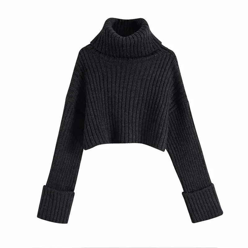 Wenkouban Ladies Autumn And Winter Retro Turtleneck Sweater 2022 Solid Long Sleeve Warm Knit Pullover Women Casual Sweater