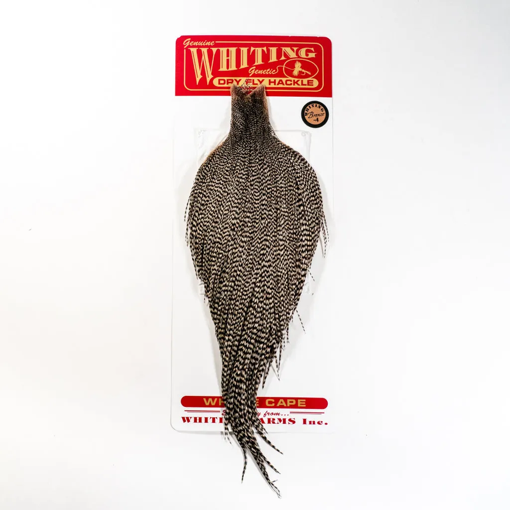 Whiting Bronze Cape