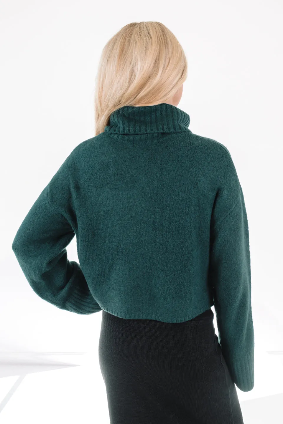 Z Supply Ursa Turtleneck Sweater - Abyss